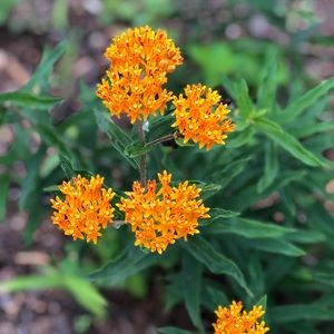 Meet your Posher, Kay